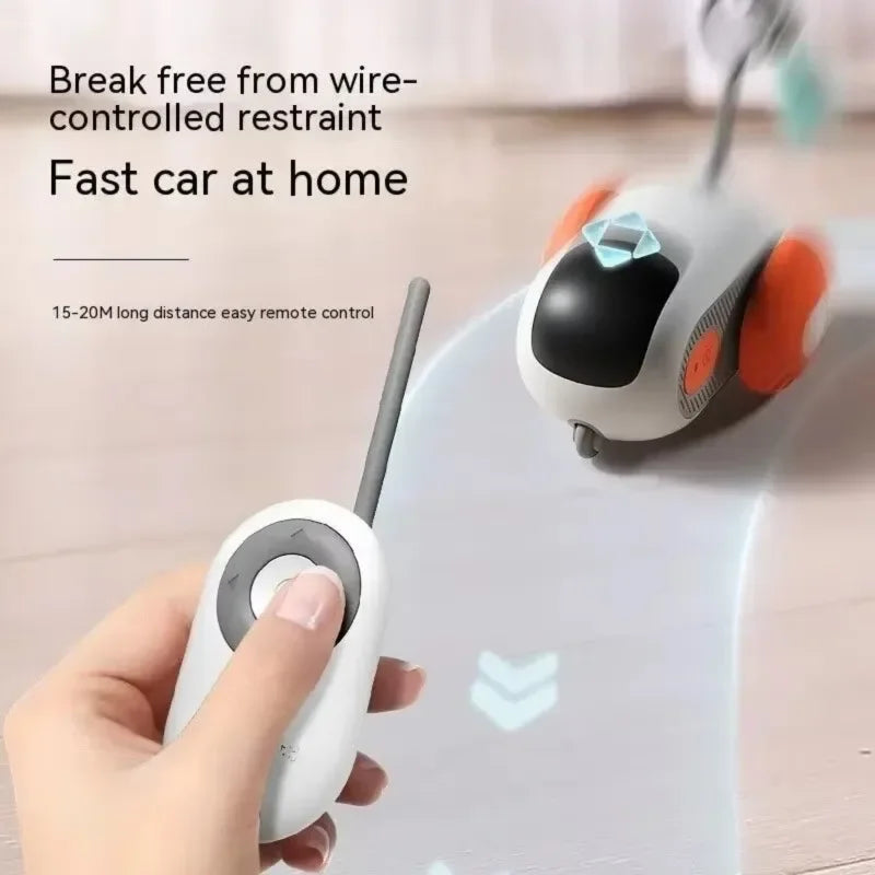 Jouet électrique pour chats avec télécommande jouets interactifs intelligents
