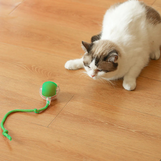 Lot de 2 balles interactives pour chat, rechargeables et rotatives, à roulement automatique, pour chaton d'intérieur